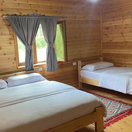Отель Bujtina Leke Gerla Тети Экстерьер фото